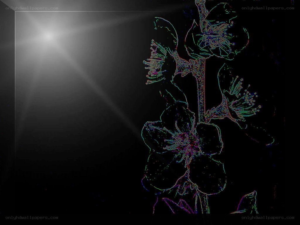 neon floral outline with light