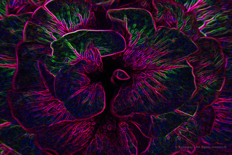 neon floral pattern