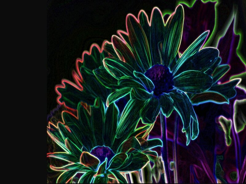 neon flower art