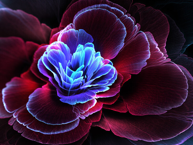 Neon Flower Bloom