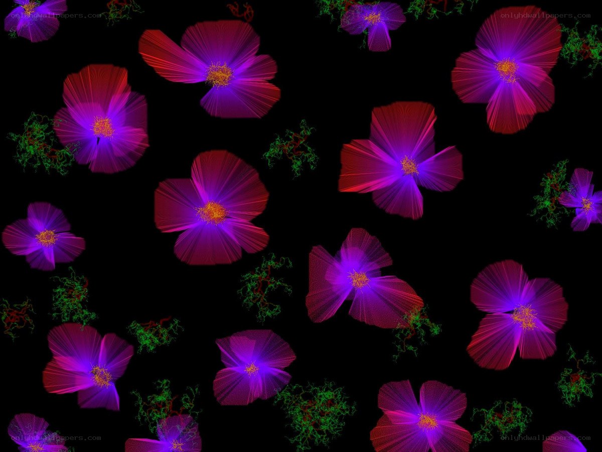 Neon flowers on black background
