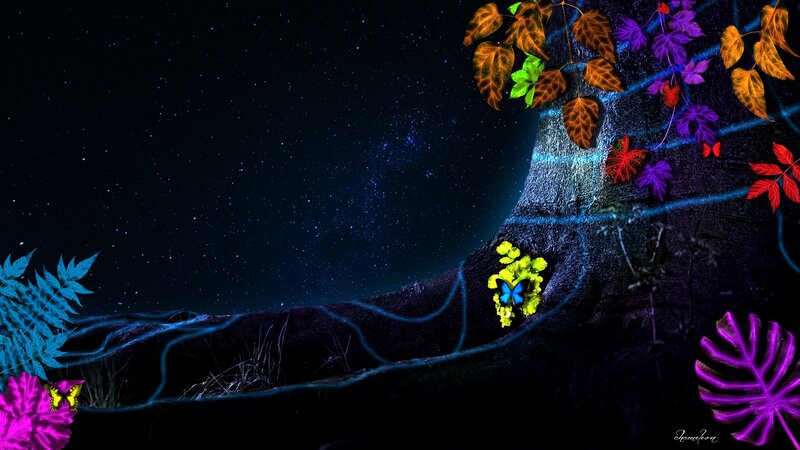 neon forest under starry sky
