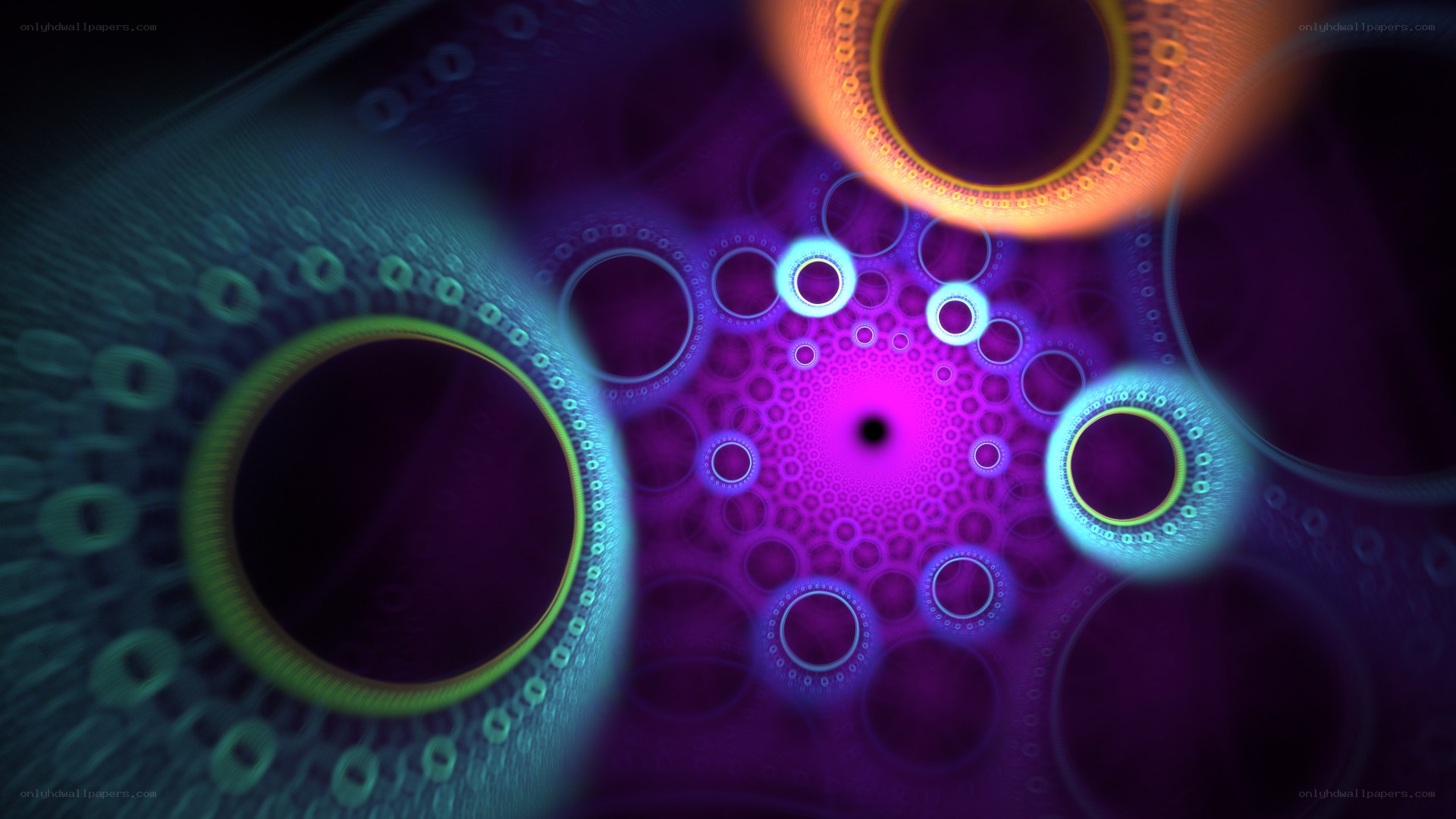 neon fractal circle pattern