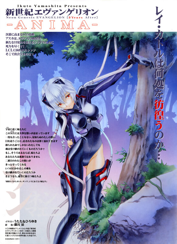 Neon Genesis Evangelion - ANIMA