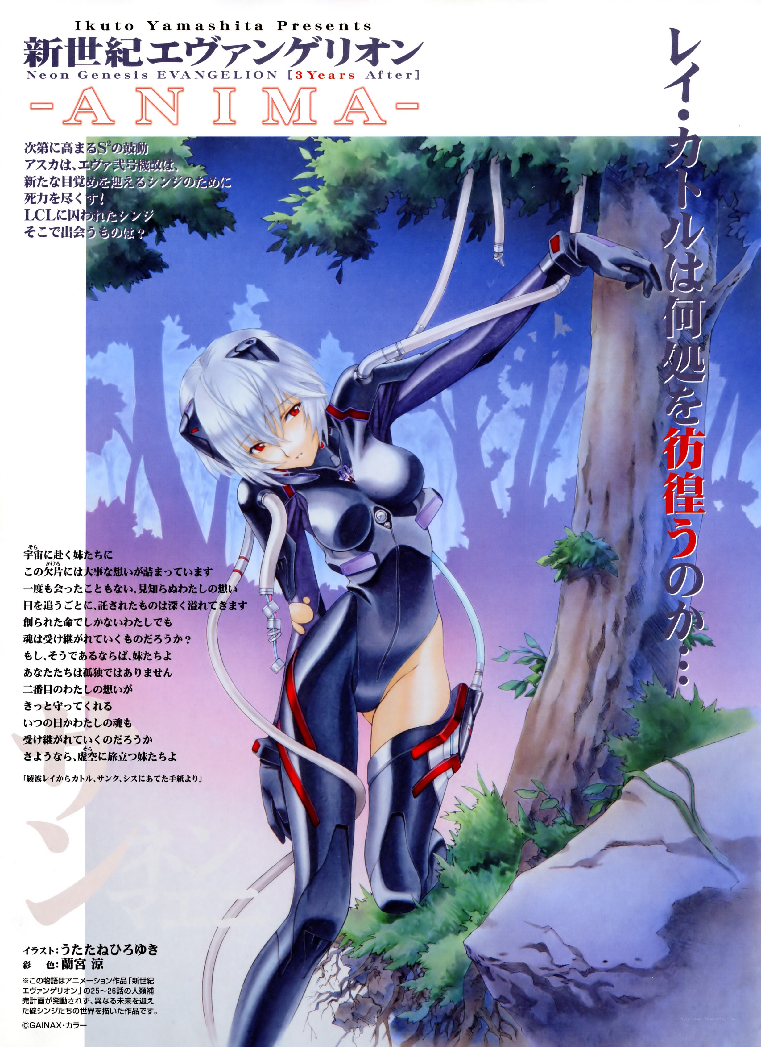 Neon Genesis Evangelion - ANIMA