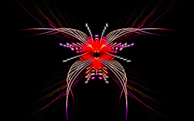 neon insect light art