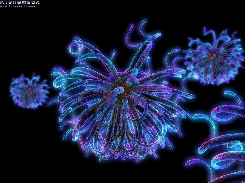 neon jellyfish in dark water