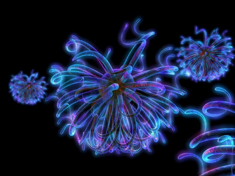 neon jellyfish in dark water