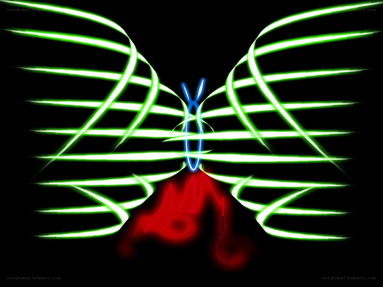 neon light art butterfly