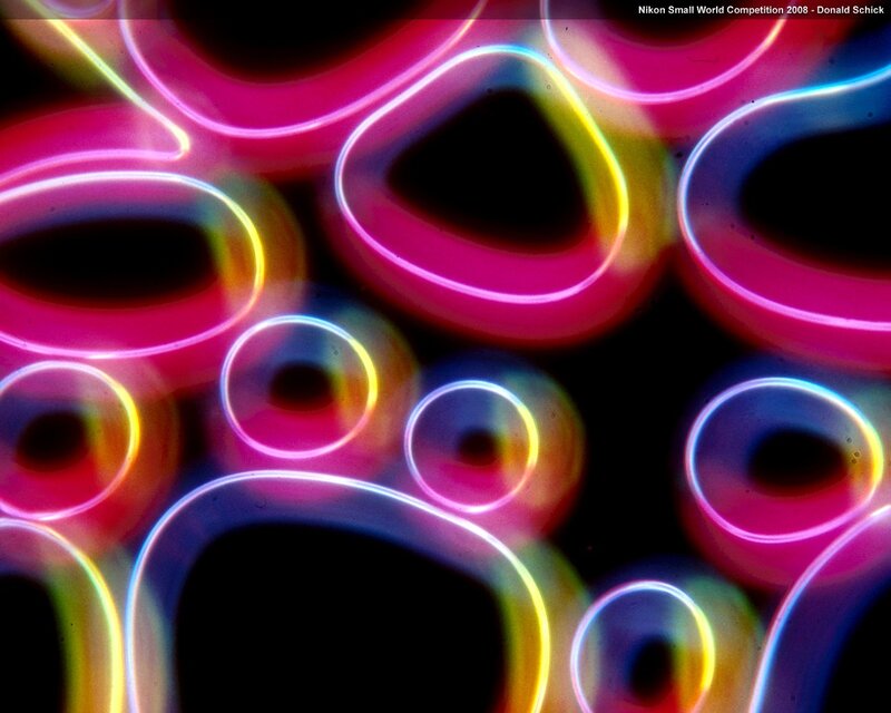 Neon Light Patterns — Pink