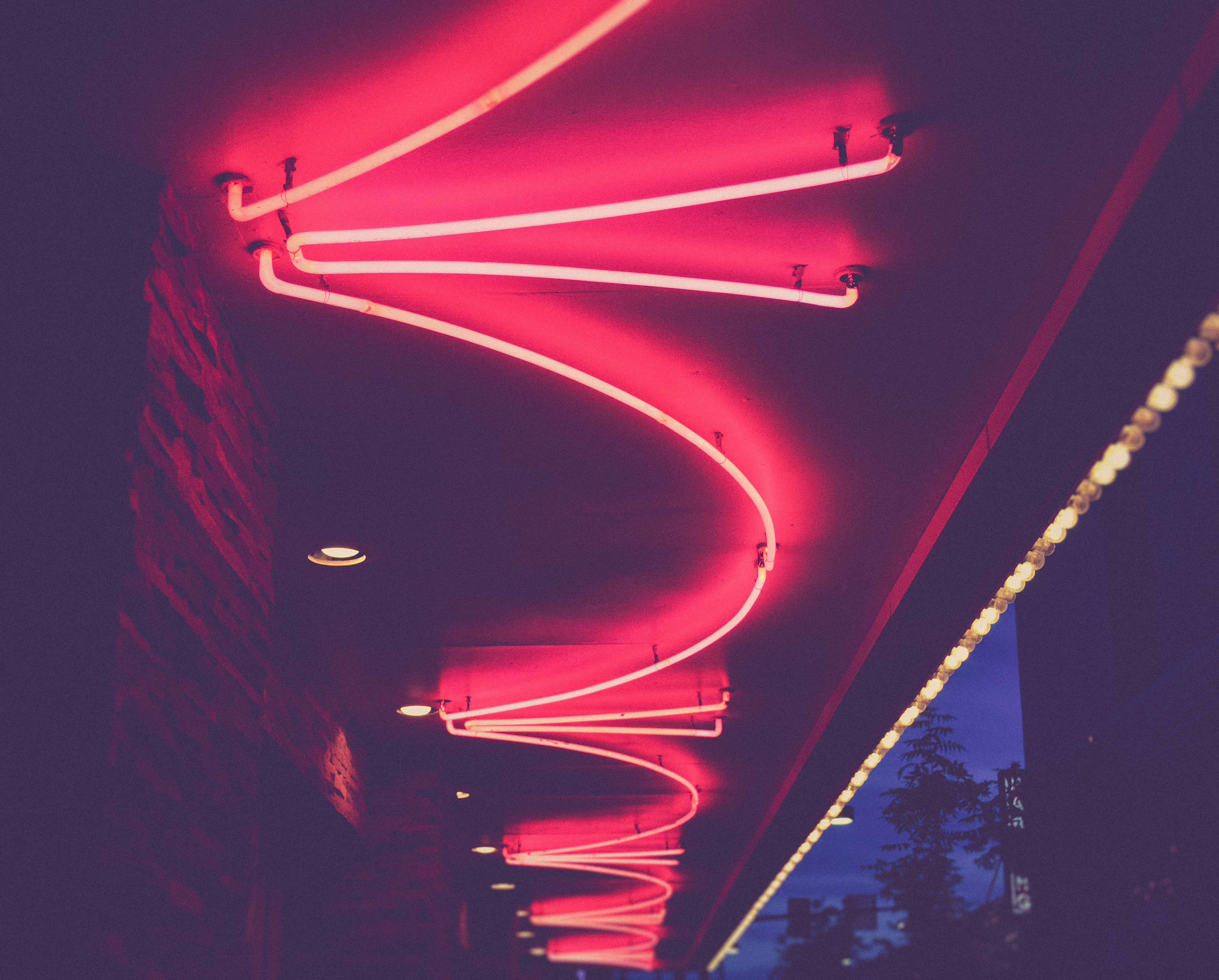 Neon lights at night