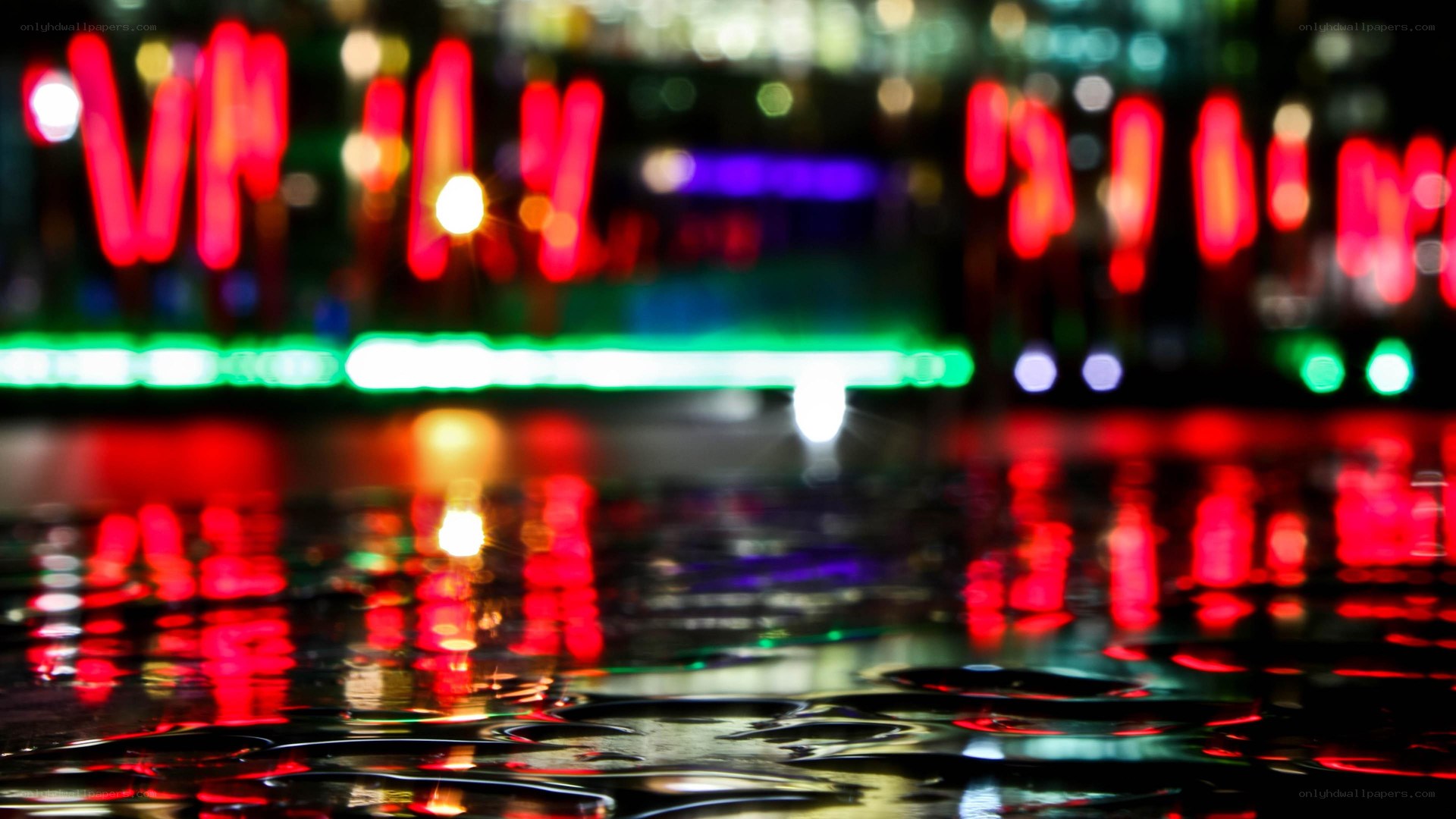 neon lights on wet pavement
