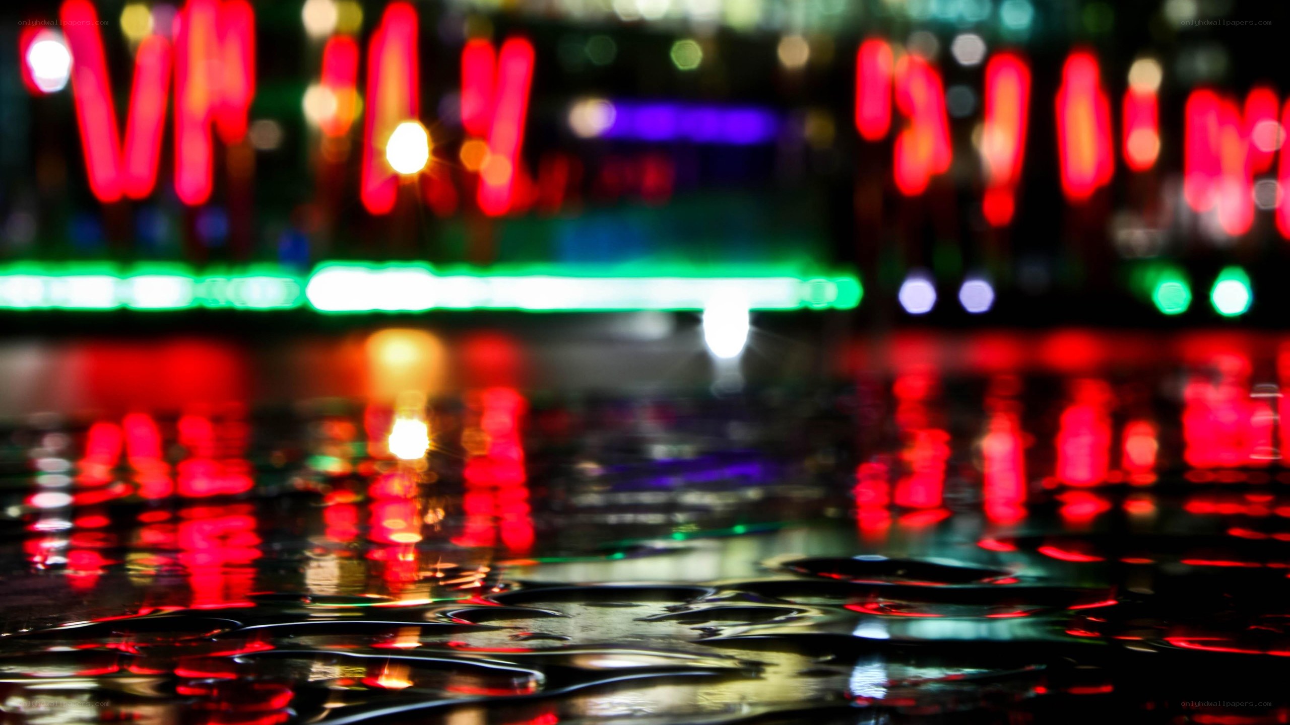 neon lights on wet pavement