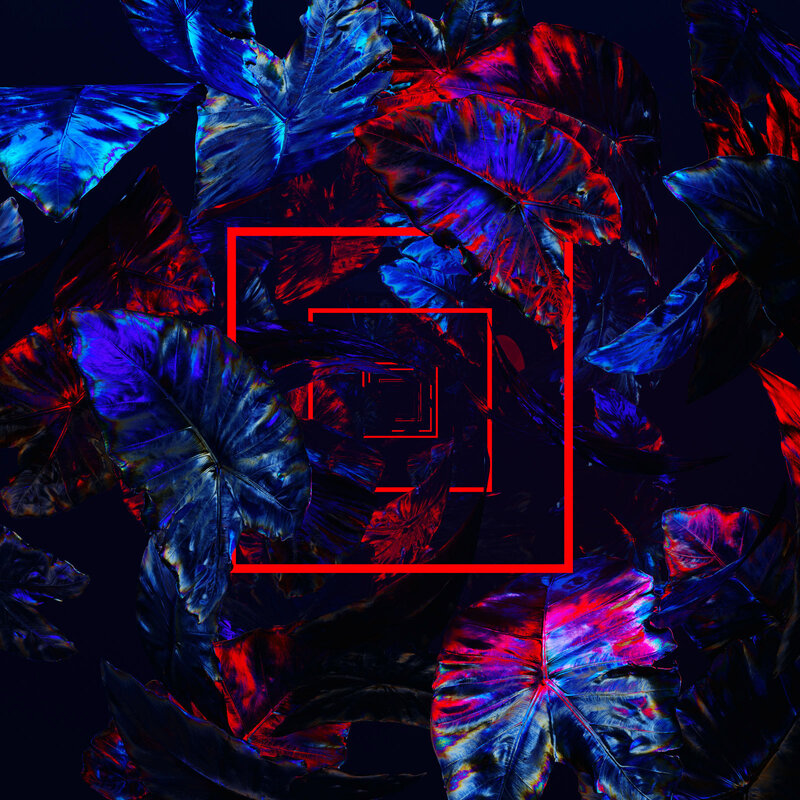 Neon-lit Leaves