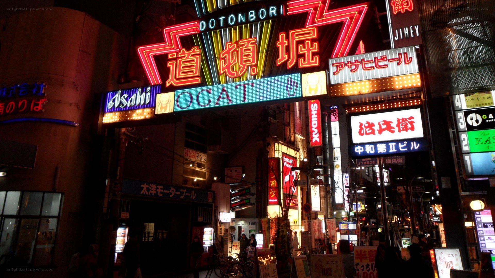 Neon-lit street in Dotonbori