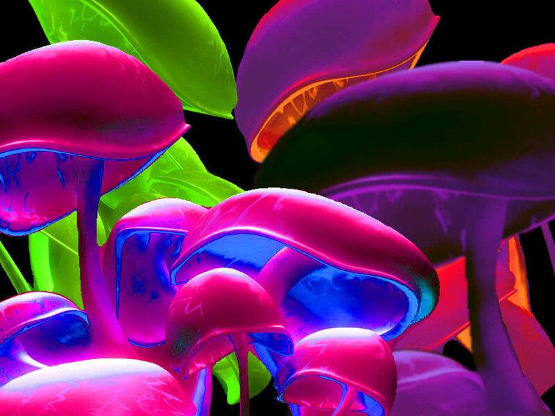 Neon mushroom cluster