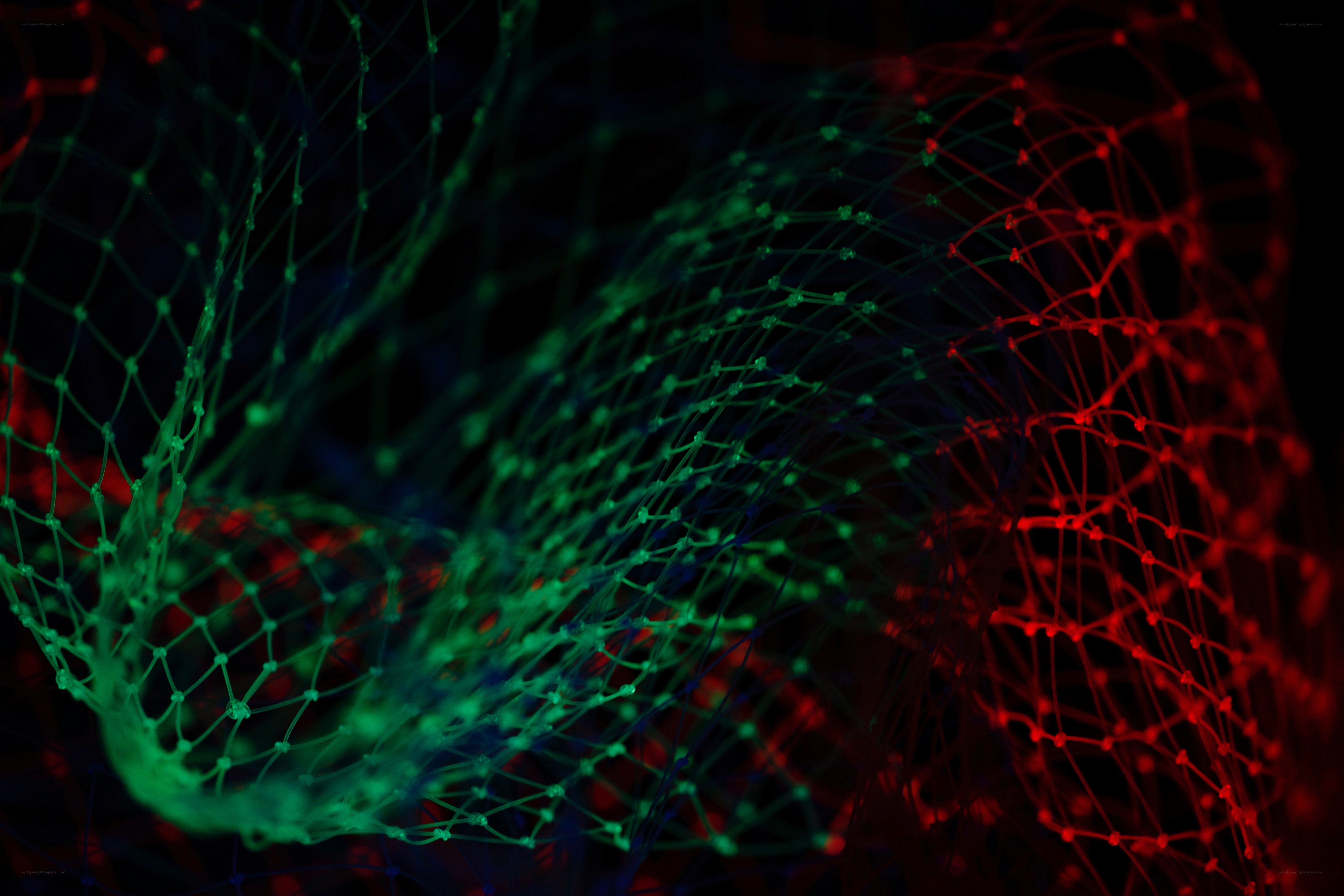 Neon network mesh