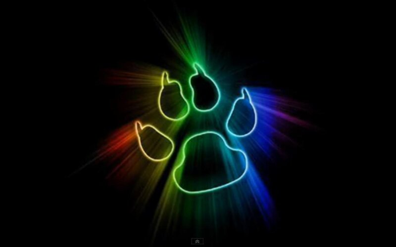 Neon Paw Print