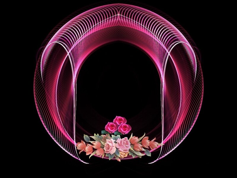 neon pink floral frame