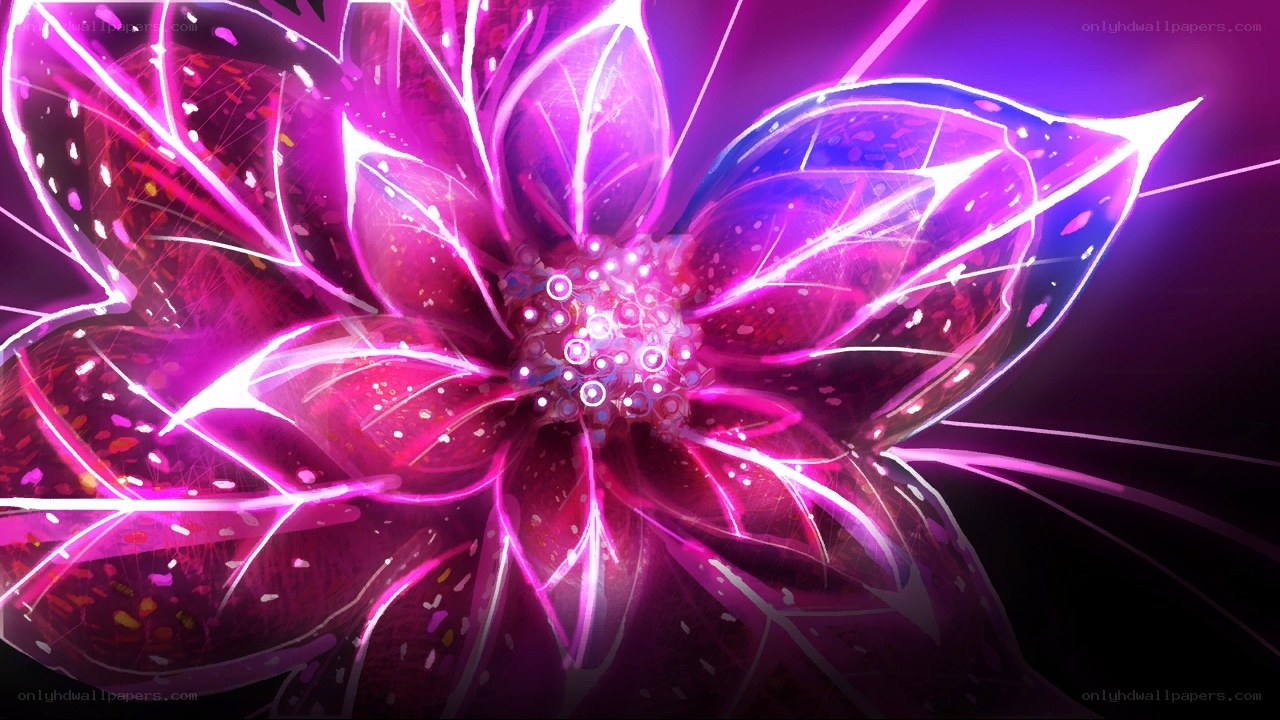 neon purple flower animation