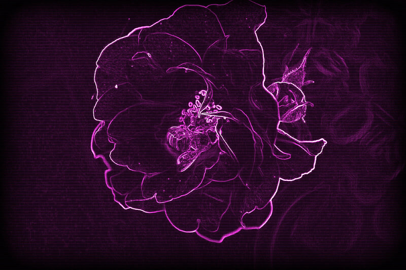 Neon Purple Flower