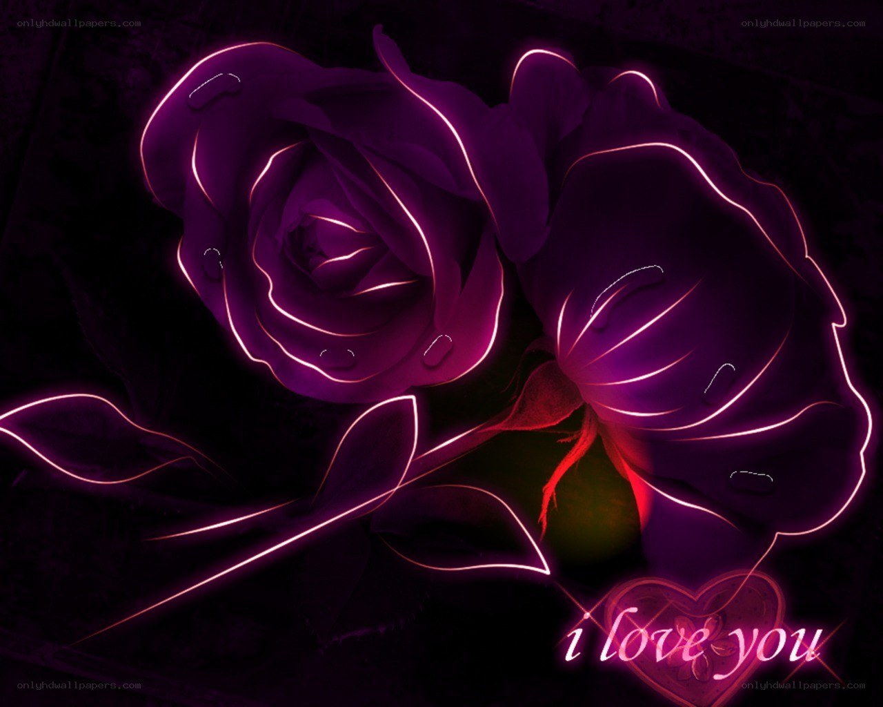 Neon purple roses