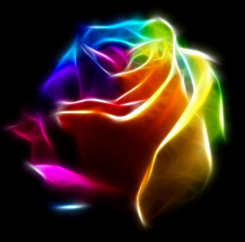 Neon Rainbow Rose
