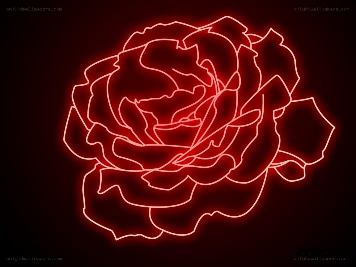 neon red rose outline