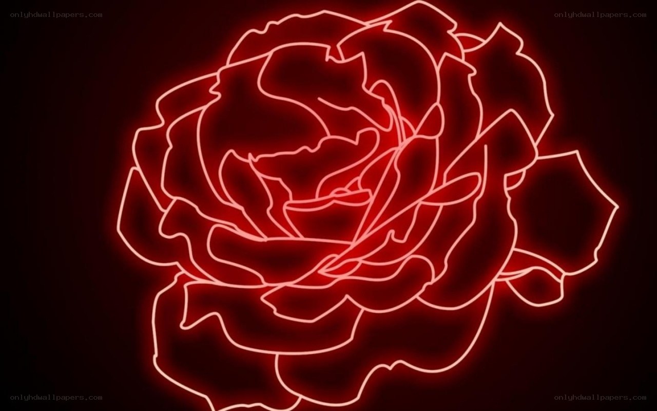 neon red rose outline