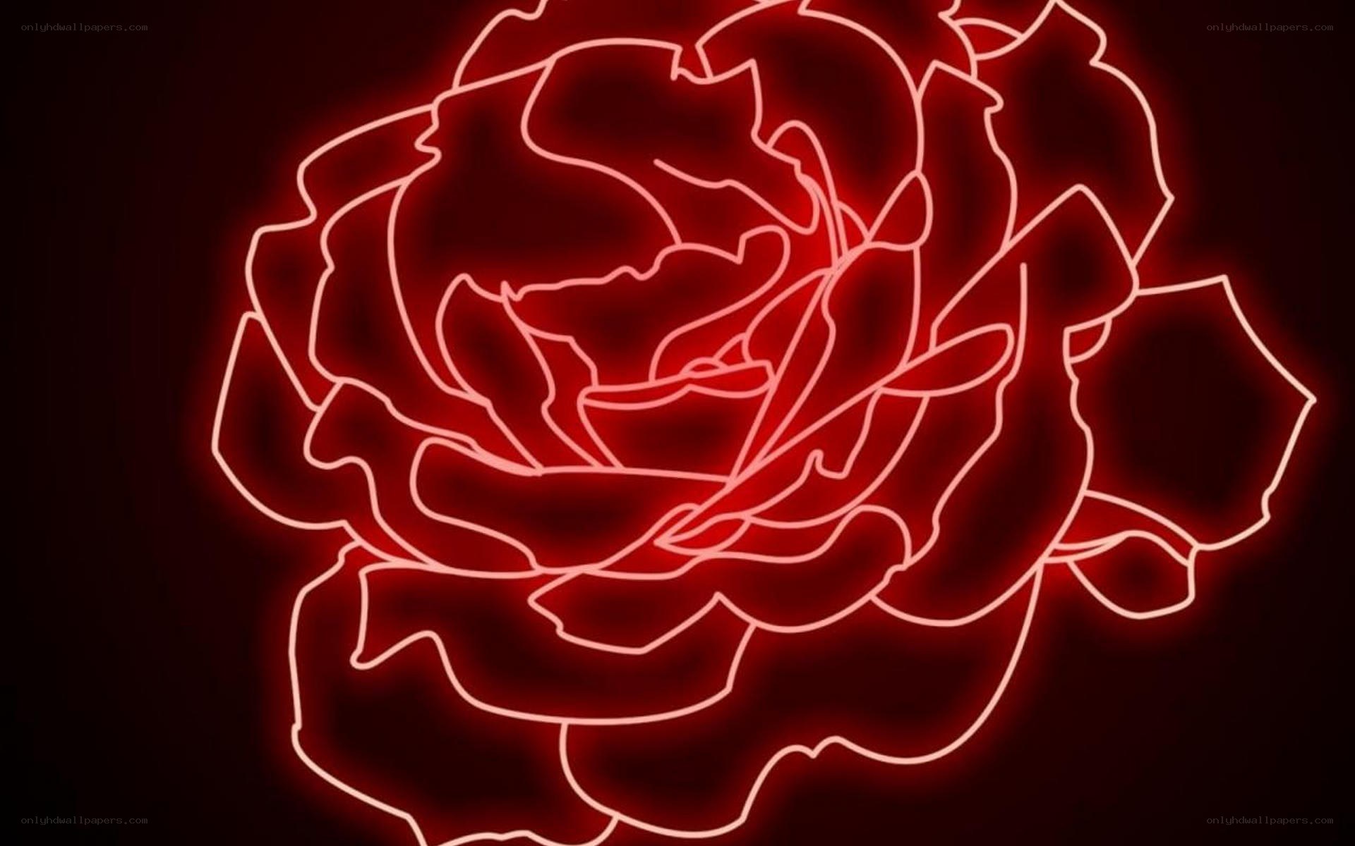neon red rose outline