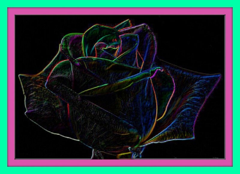 Neon Rose Flower