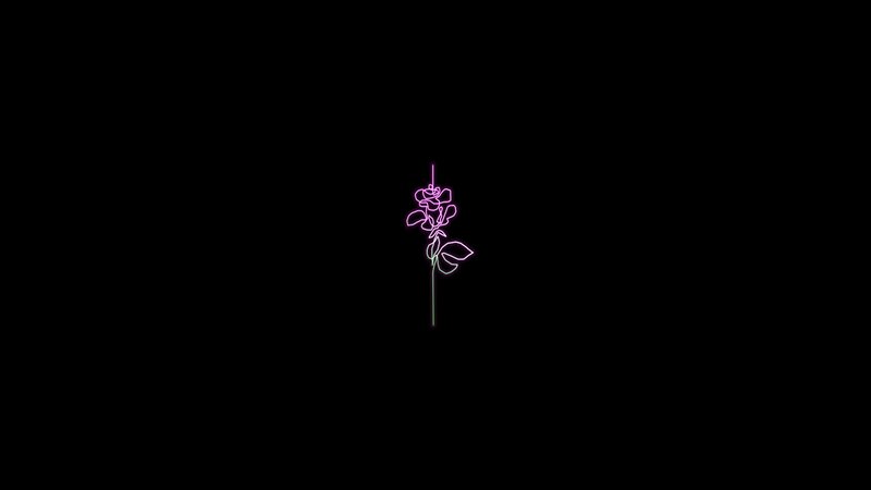Neon Rose Outline