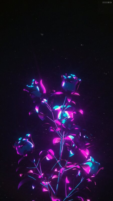 Neon Roses in Dark