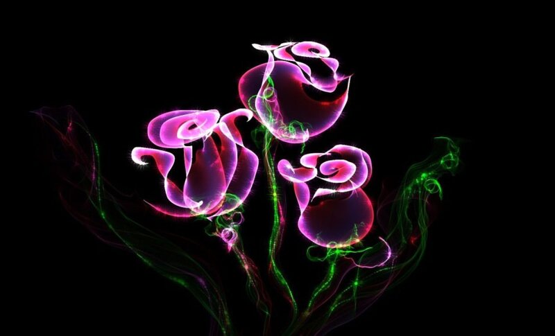 Neon Roses on Black