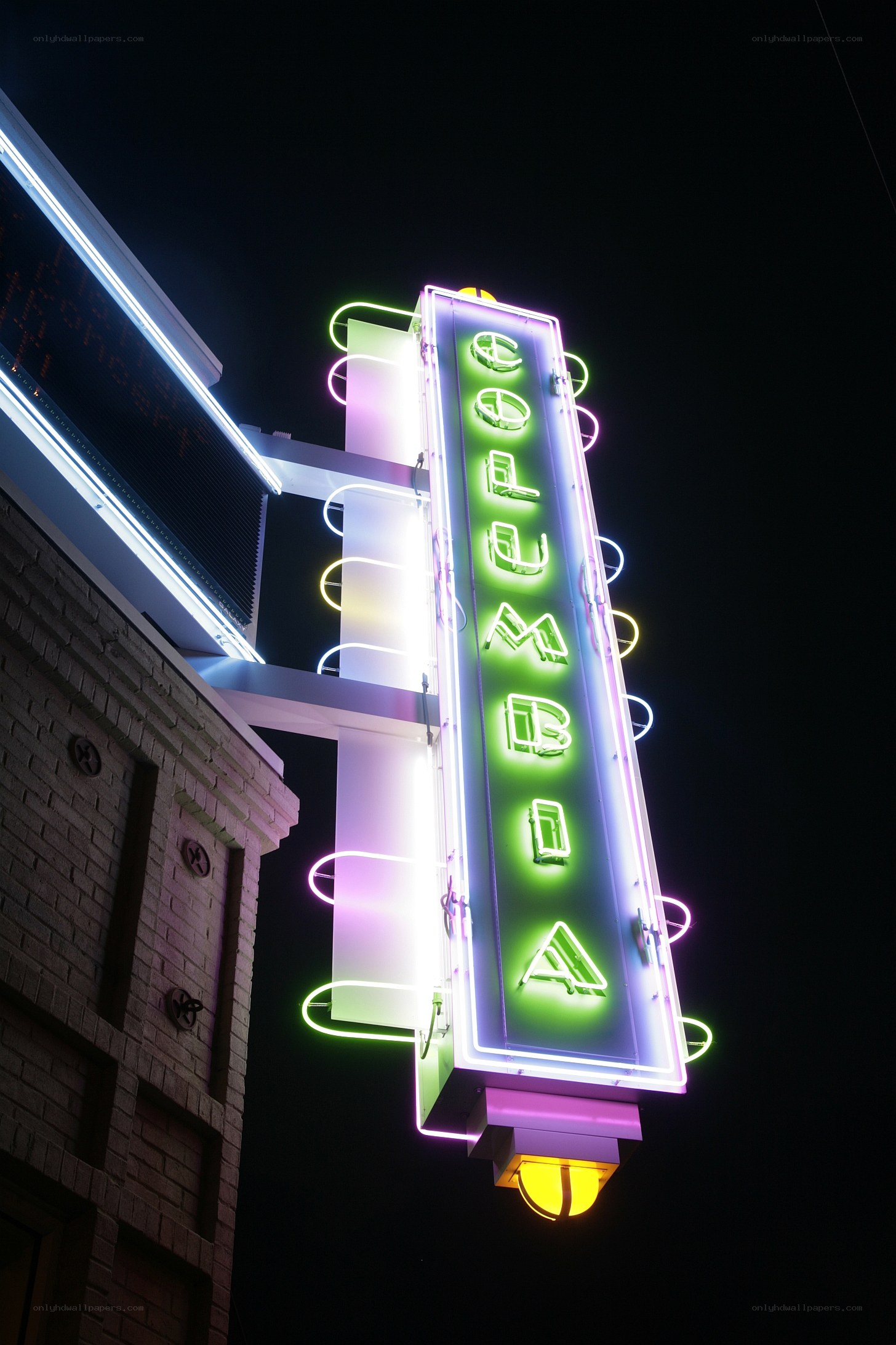 Neon sign at night
