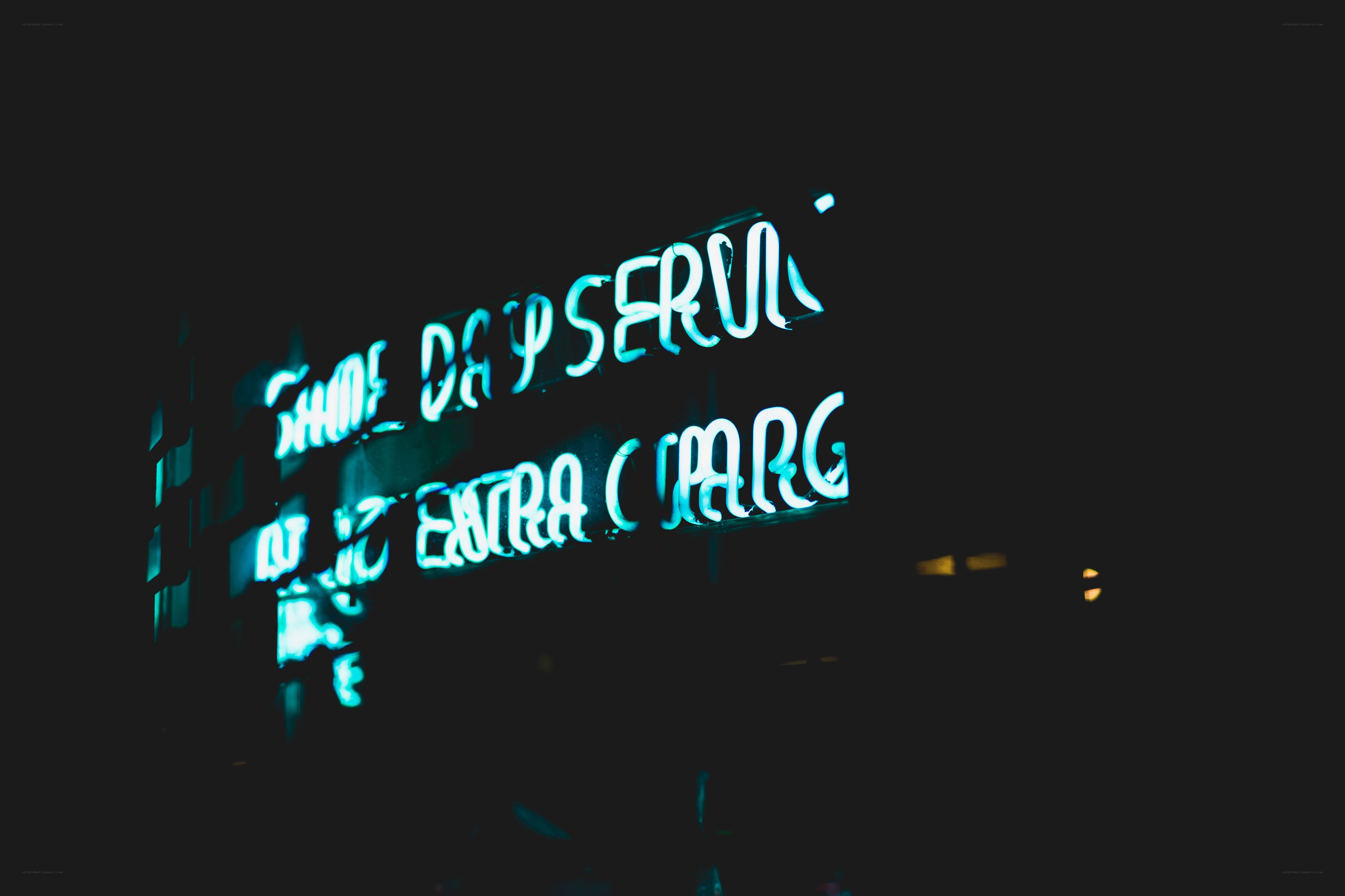 neon sign at night