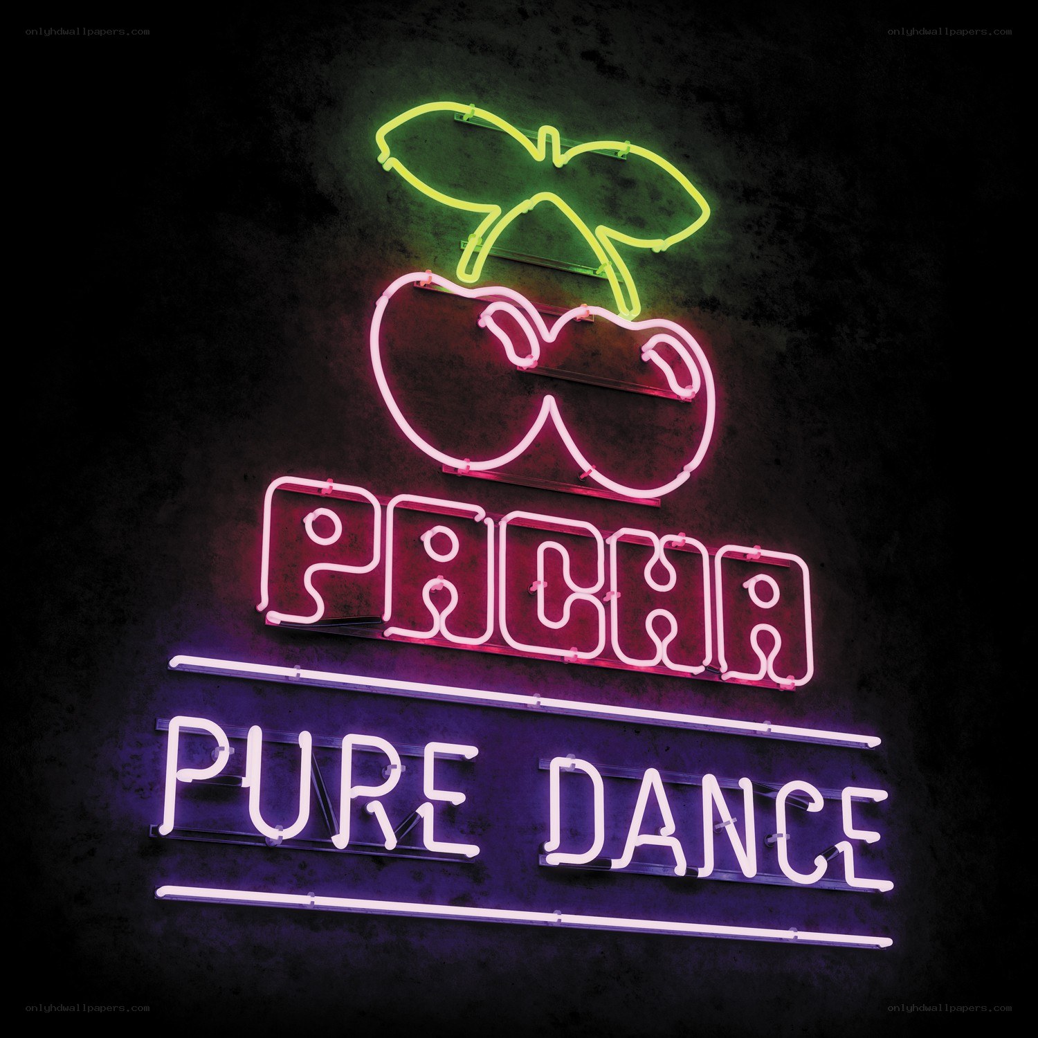 Neon sign for Pacha Pure Dance