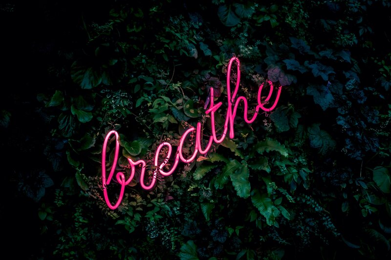 Neon Sign in Plants