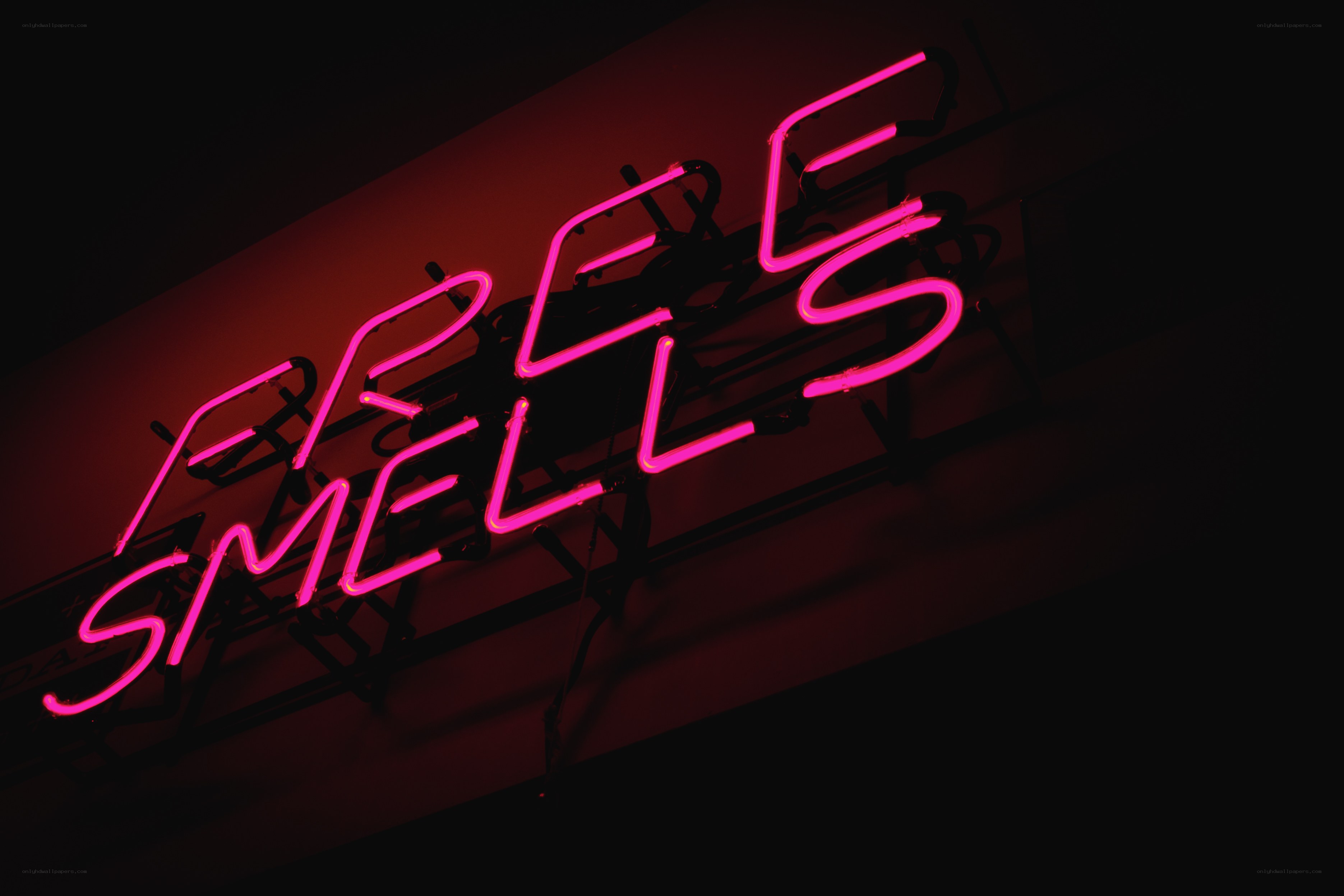 neon sign reading free smells