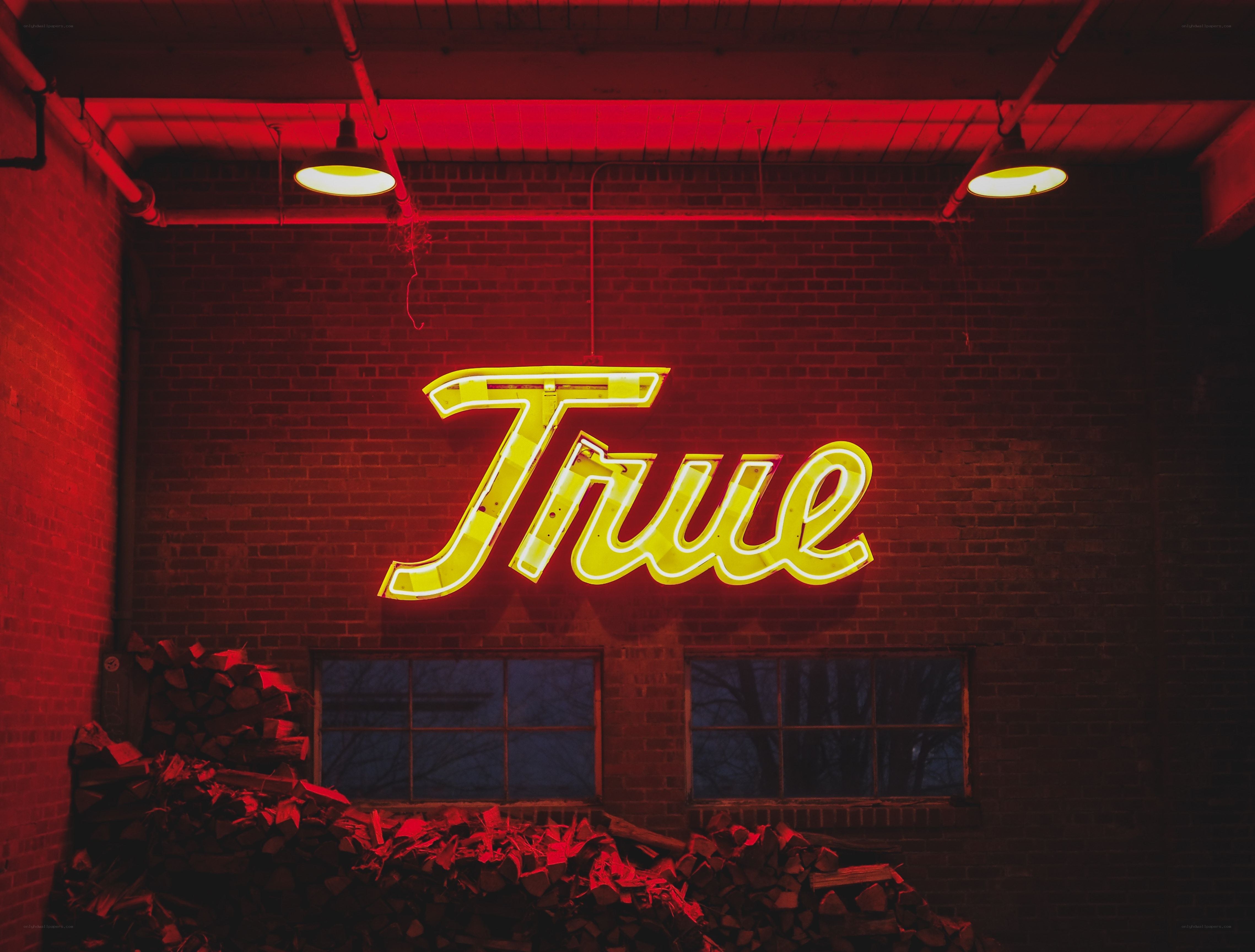 Neon sign reading 'True'