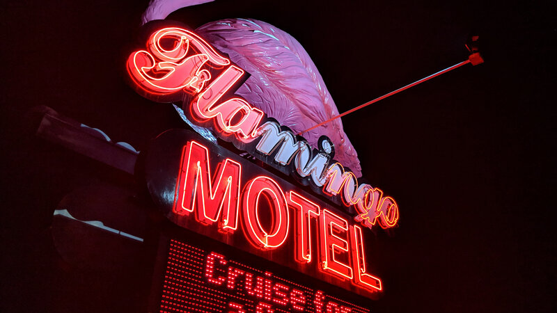 Neon Sign with Flamingo