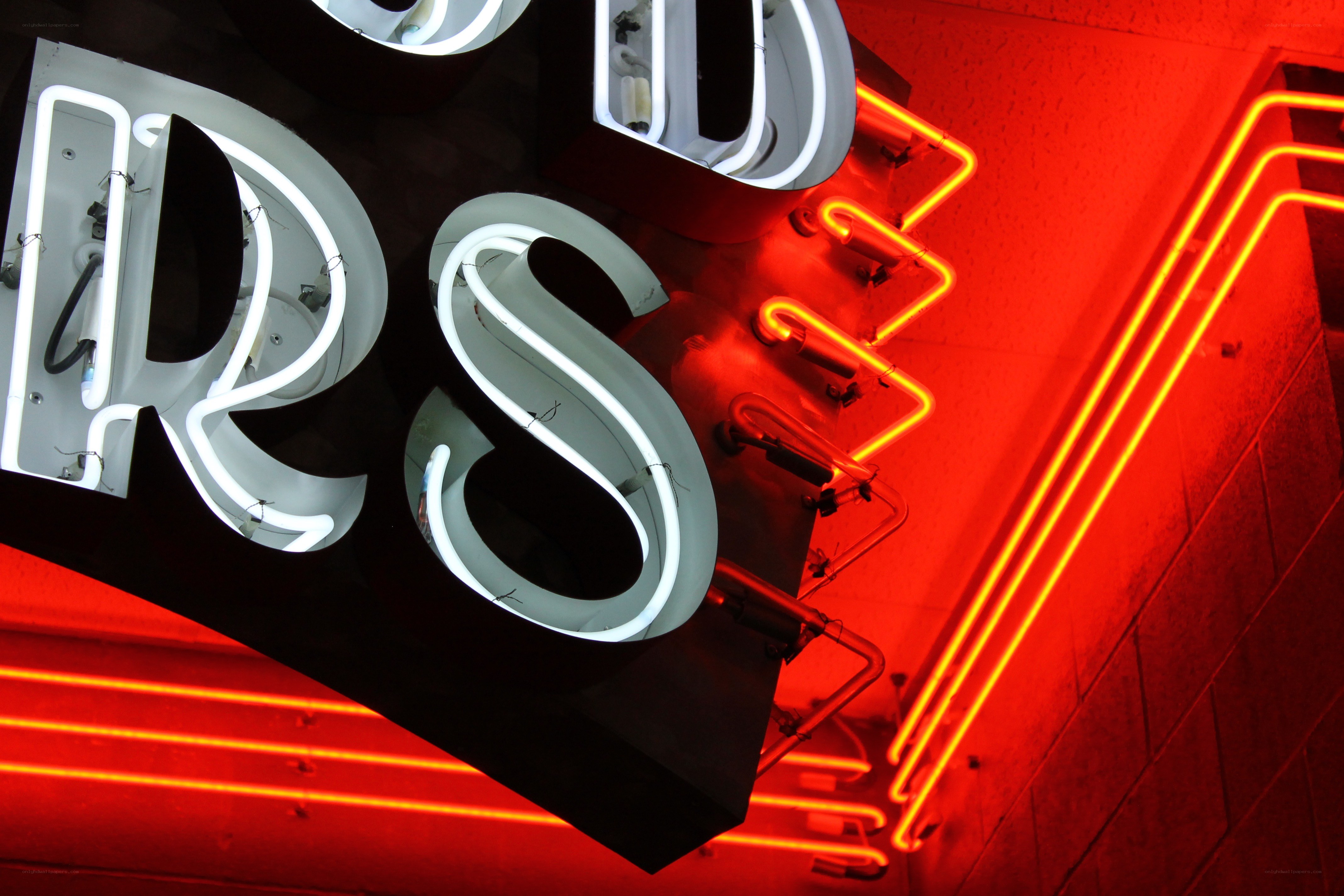 Neon sign with red and white lights