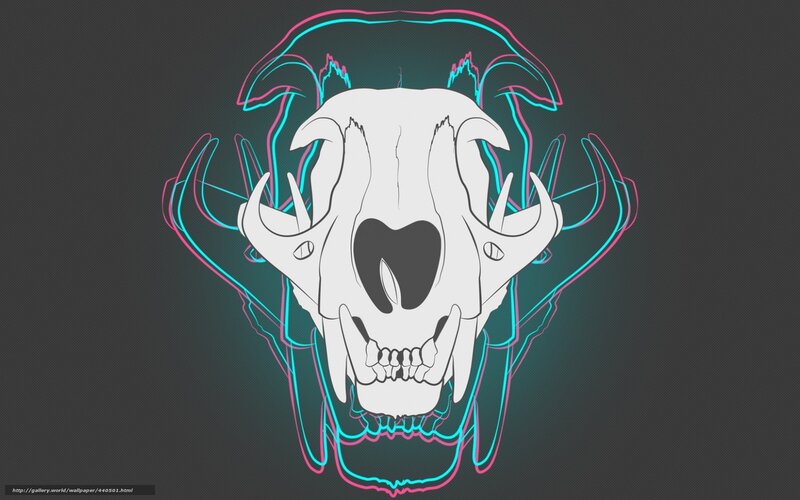 neon skull design