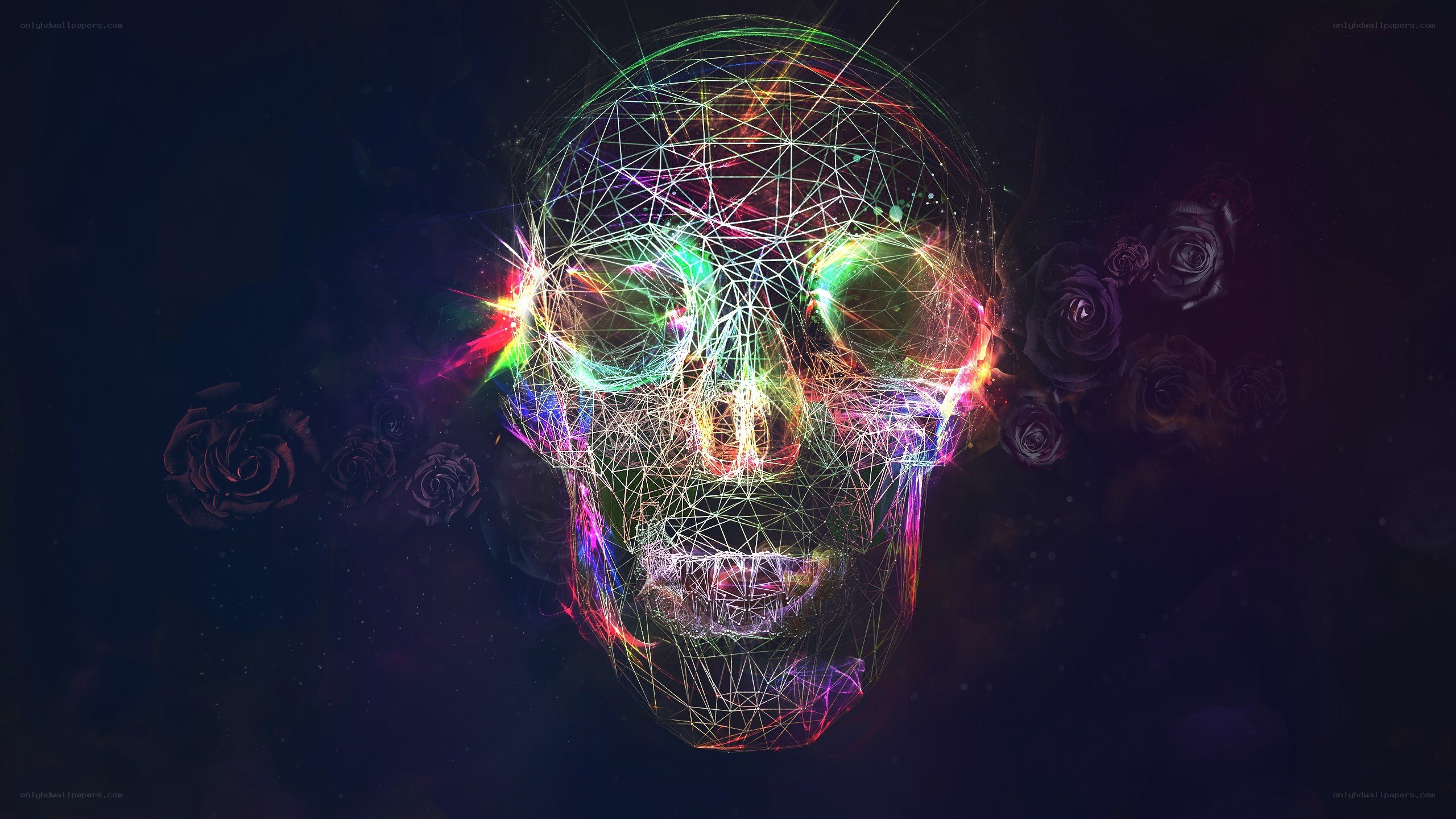 Neon skull with roses