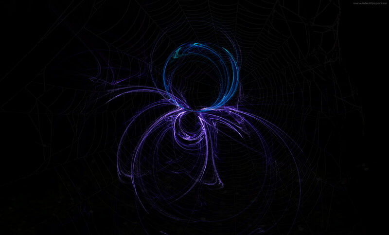 neon spider web design