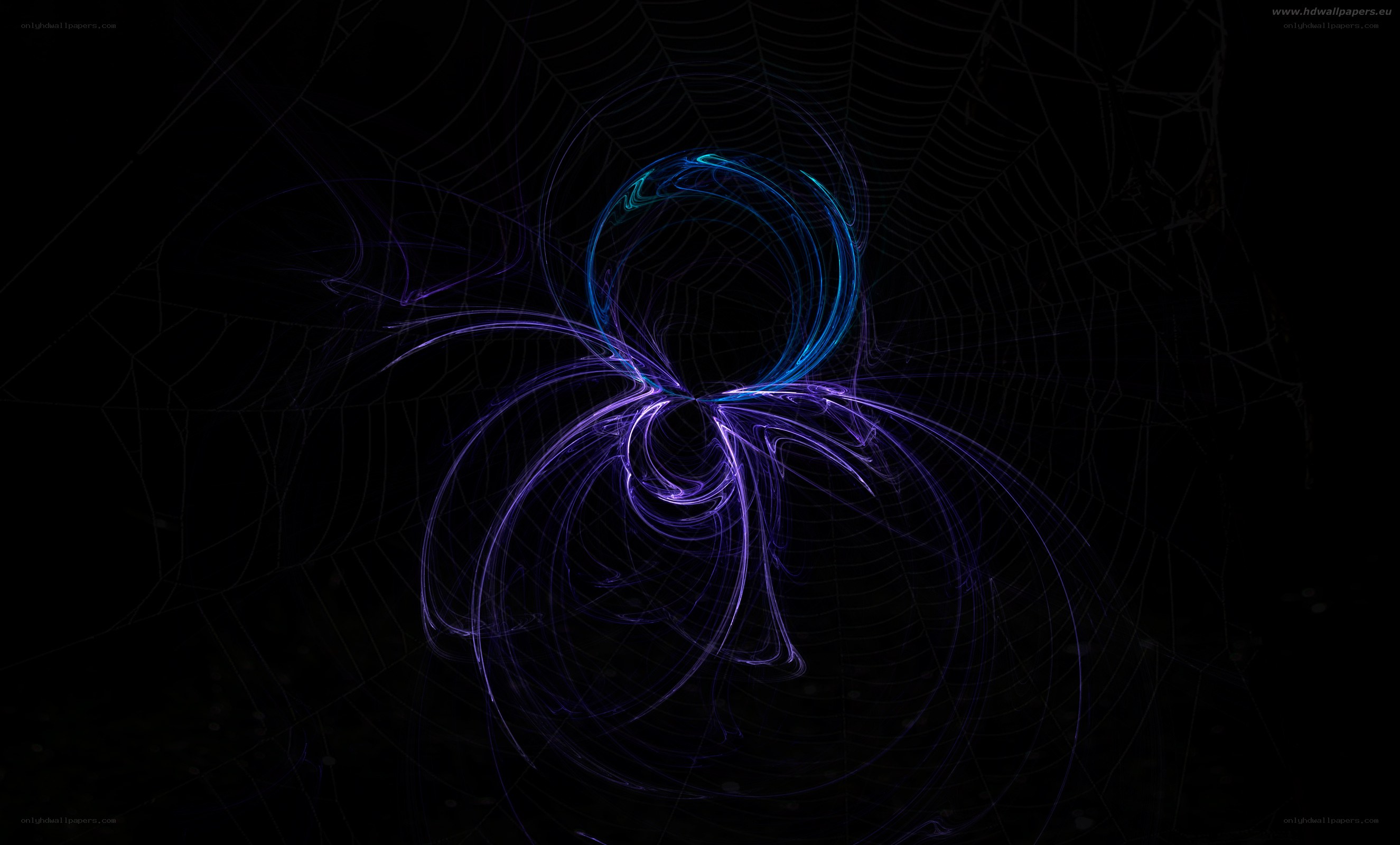 neon spider web design