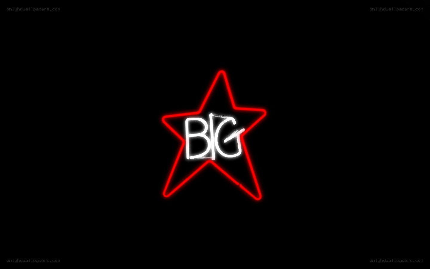 neon star logo with text
