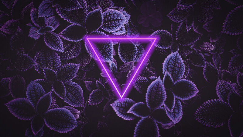 Neon Triangle in Foliage