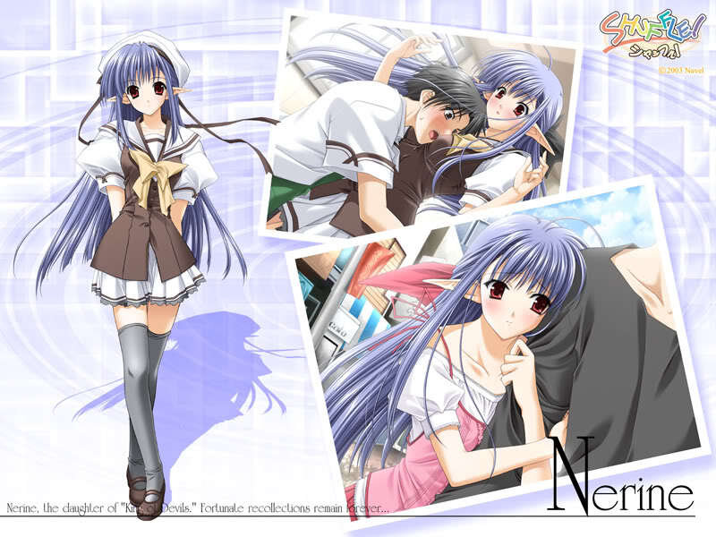 Nerine character art collage