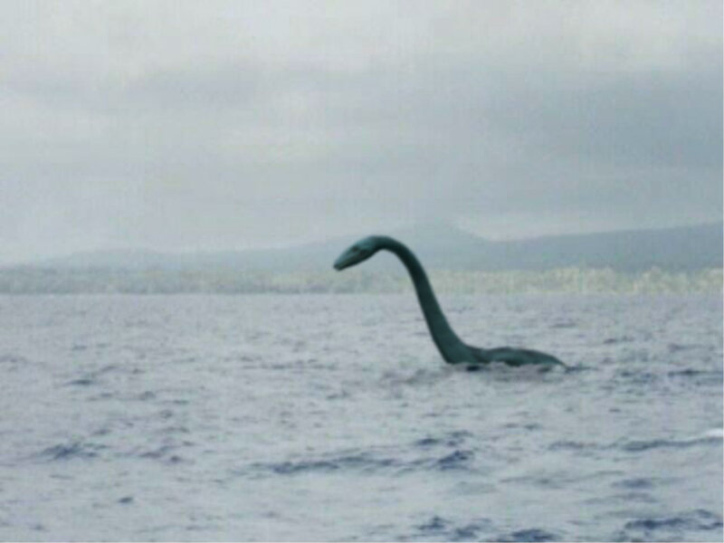 Nessie in Lake